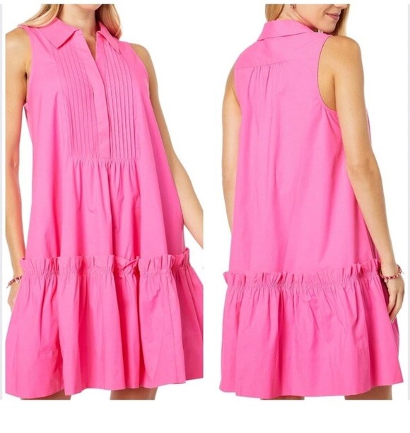 Lilly Pulitzer Caylinn Stretch Cotton Dress in Hot Pink size Small NWTs - Picture 3 of 11